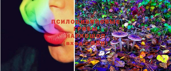 ECSTASY Богородицк