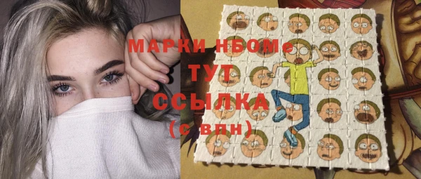 ECSTASY Богородицк