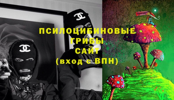 прущая мука Богородск