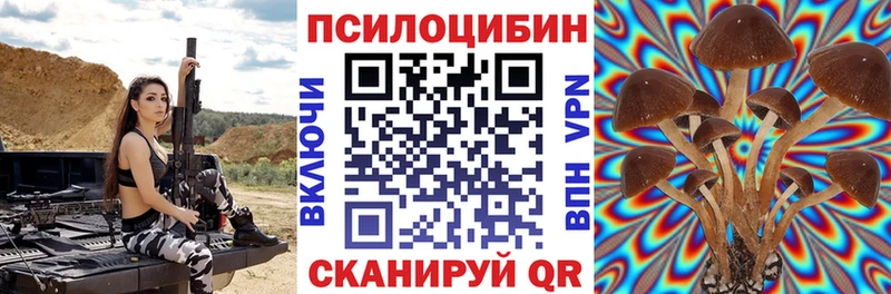 darknet наркотические препараты  mega ONION  Плёс  Псилоцибиновые грибы мухоморы 